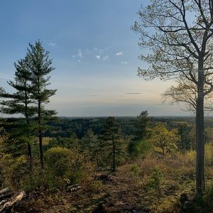 Meet your Posher, Sophie